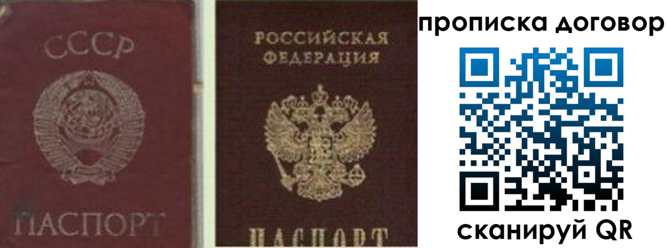 прописка гарантия в Куйбышеве
